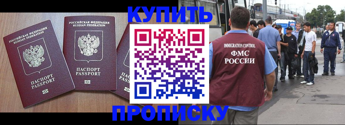 прописка 2025 в Мытищах